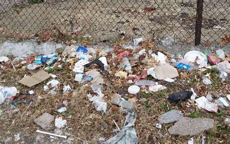 Division Illegal Dumping, Litter and Graffiti of Refuse Collection.
